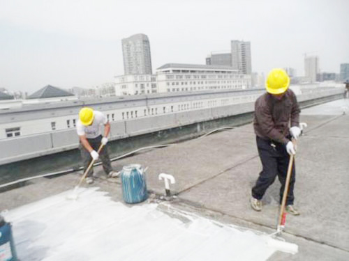 坡屋面防水補漏最適合用哪種涂料？